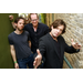 MARCY PLAYGROUND